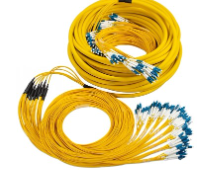 INFAST 12 FIBER SM LC-LC G657A2 TRUNK CABLE - 5MTRS